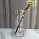 Florero Vidrio 10X195Cm