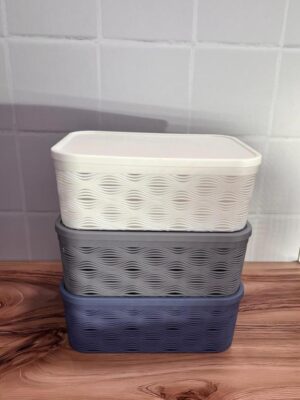 Organizador Plastico Con Tapa Cuadrado 28X21X10Cm